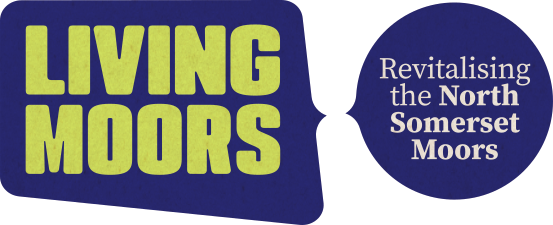 Living Moors
